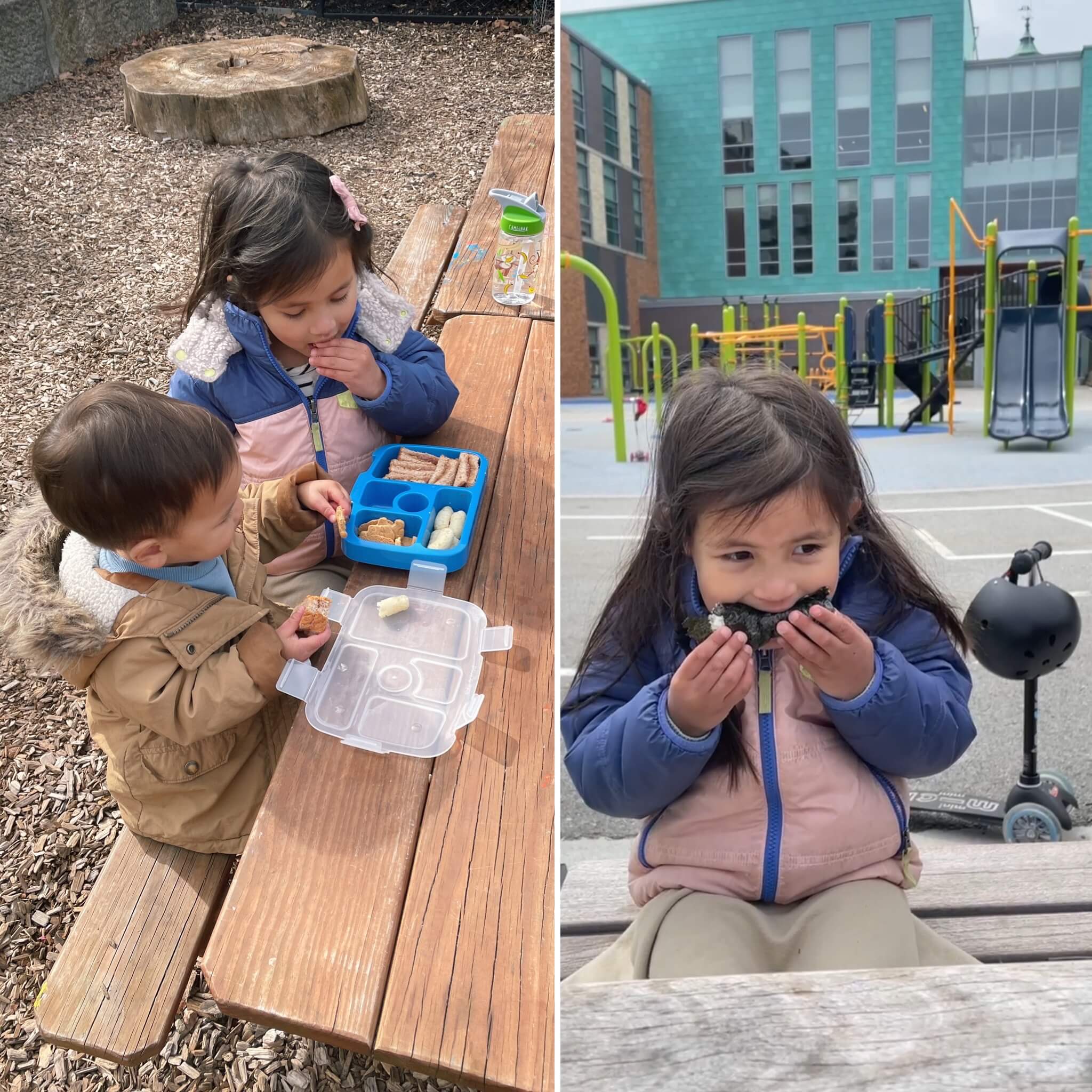 boston toddler playground brookline