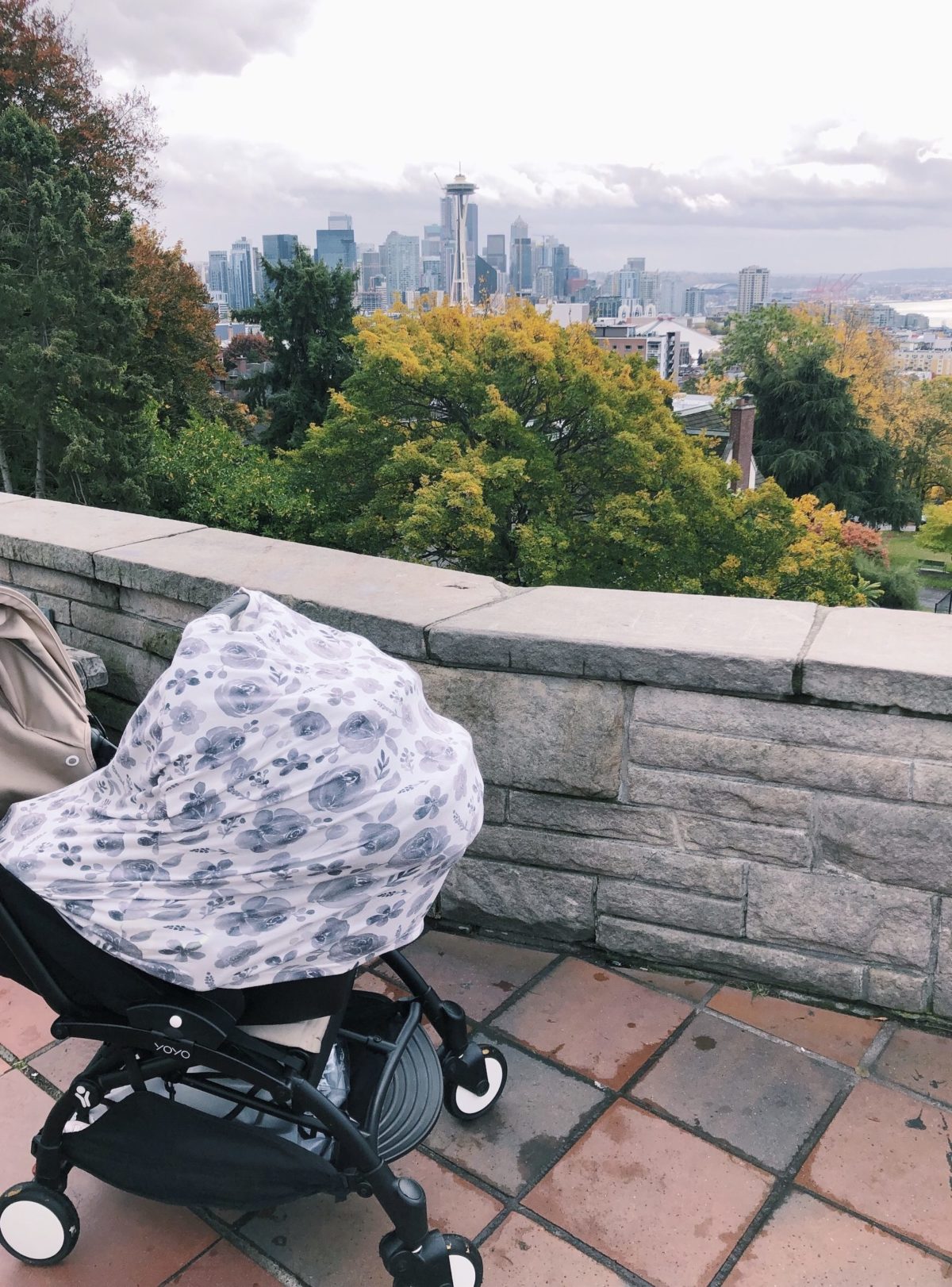 seattle kerry park city views