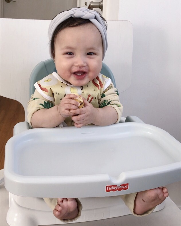 infant baby fisher price booster chair first food ideas