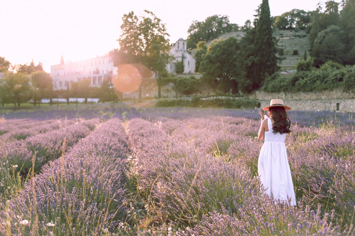 provence south of france lavender fields